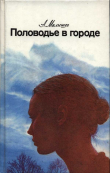 Книга Половодье в городе автора Александр Малышев