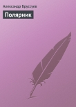 Книга Полярник автора Александр Бруссуев