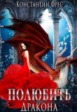 Книга Полюбить Дракона (СИ) автора Константин Фрес