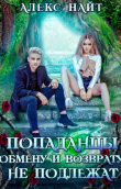 Книга Попаданцы обмену и возврату не подлежат (СИ) автора Алекс Найт
