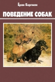 Книга Поведение собак автора Ёран Бергман