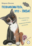 Книга Познакомьтесь, это – Лиза! автора Мария Белик