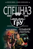 Книга Позывной «Пантера» автора Михаил Нестеров