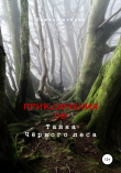 Книга Приключения ДД. Тайна Чёрного леса автора Евгения Ляшко
