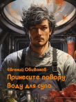Книга Принесите повару воду для супа (СИ) автора Евгений Обиванов