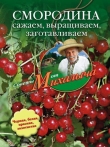 Книга Пряные травы. Сажаем, выращиваем, заготавливаем, лечимся автора Николай Звонарев