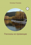 Книга Рассказы из провинции автора Наталья Усанова