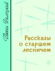 Книга Рассказы о старшем лесничем автора Павел Далецкий