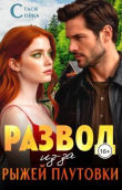 Книга Развод из-за рыжей плутовки (СИ) автора Стася Сойка