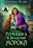 Книга Ромашка в Академии Морока (СИ) автора Мариан Фелис