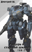 Книга Рыцарь в старшей школе. Том 2 (СИ) автора Дмитрий Ш.