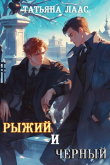 Книга Рыжий и черный (СИ) автора Татьяна Лаас