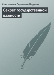 Книга Секрет государственной важности автора Константин Бадигин