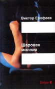 Книга Шаровая молния автора Виктор Ерофеев