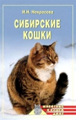 Книга Сибирские кошки автора Ирина Некрасова