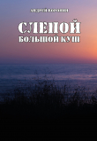 Книга Слепой. Большой куш автора Андрей Воронин