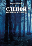 Книга Слепой. Выстрелы в темноте автора Андрей Воронин
