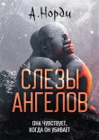 Книга Слезы ангелов (СИ) автора А. Норди