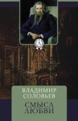 Книга Смысл любви автора Владимир Соловьев