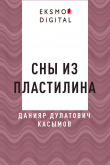 Книга Сны из пластилина автора Данияр Касымов