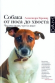 Книга Собака от носа до хвоста. Что она видит, чует и знает автора Александра Горовиц
