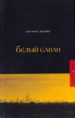Книга Солнечные дни автора Антанас Шкема