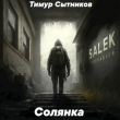 Книга Солянка (СИ) автора Тимур Сытников