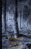 Книга Сон Эша 2 (СИ) автора Габриэлла Мартин