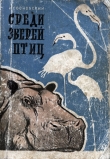 Книга Среди зверей и птиц автора Игорь Сосновский
