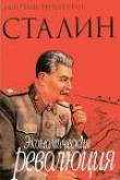 Книга Сталин Экономическая революция автора Дмитрий Верхотуров