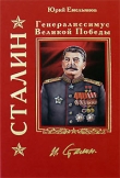 Книга Сталин. Путь к власти автора Юрий Емельянов