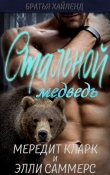 Книга Стальной медведь (СИ) автора Элли Саммерс