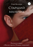 Книга Старший мальчик автора Рона Цоллерн