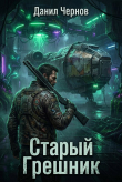 Книга Старый Грешник (СИ) автора Данил Чернов