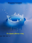 Книга Страна убитых птиц автора Владимир Баграмов