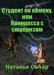 Книга Студент по обмену, или Принцесса с сюрпризом (СИ) автора Наталья Овчар