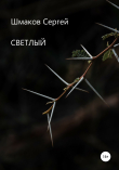 Книга Светлый автора Сергей Шмаков