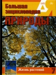 Книга Т. 7. : Жизнь растений. Деревья и кустарники автора А. Перминов