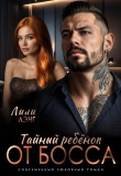 Книга Тайный ребёнок от Босса (СИ) автора Лили Лэнг