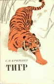Книга Тигр автора Сергей Кучеренко