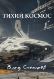 Книга Тихий космос (СИ) автора Влад Снегирев