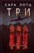 Книга Три автора Сара Лотц