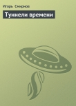 Книга Туннели времени автора Игорь Смирнов