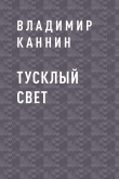 Книга Тусклый свет автора Владимир Каннин