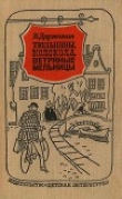 Книга Тюльпаны, колокола, ветряные мельницы автора Владимир Дружинин