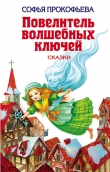 Книга Ученик волшебника автора Софья Прокофьева