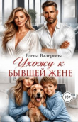 Обложка: Ухожу к бывшей жене (СИ)