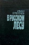 Книга В русском лесу автора Иван Елегечев