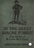 Книга В Великом лесу апачей автора Джеймс Уиллард Шульц