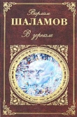 Книга В зеркале (сборник) автора Варлам Шаламов